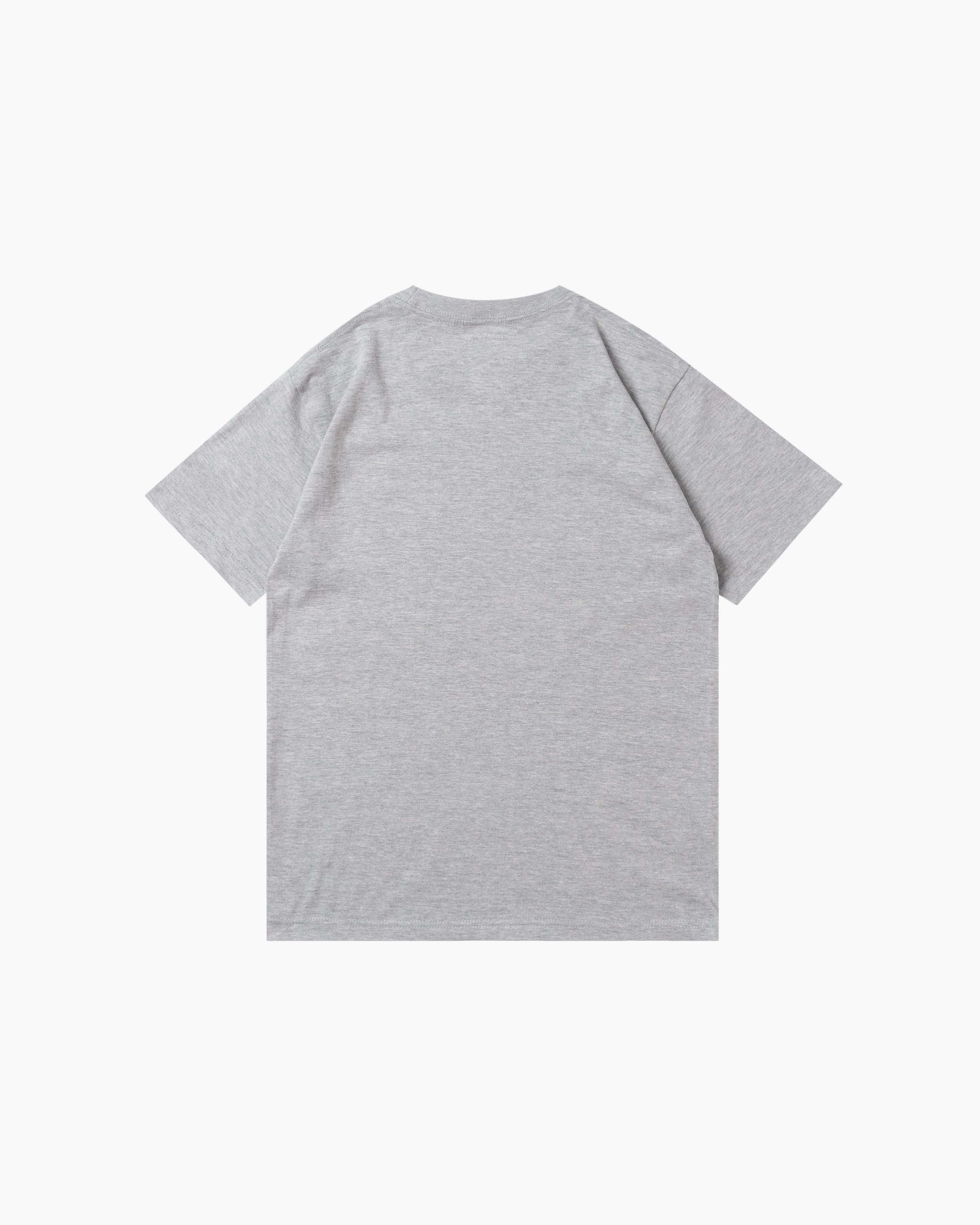 Lit t-shirt (Gray)
